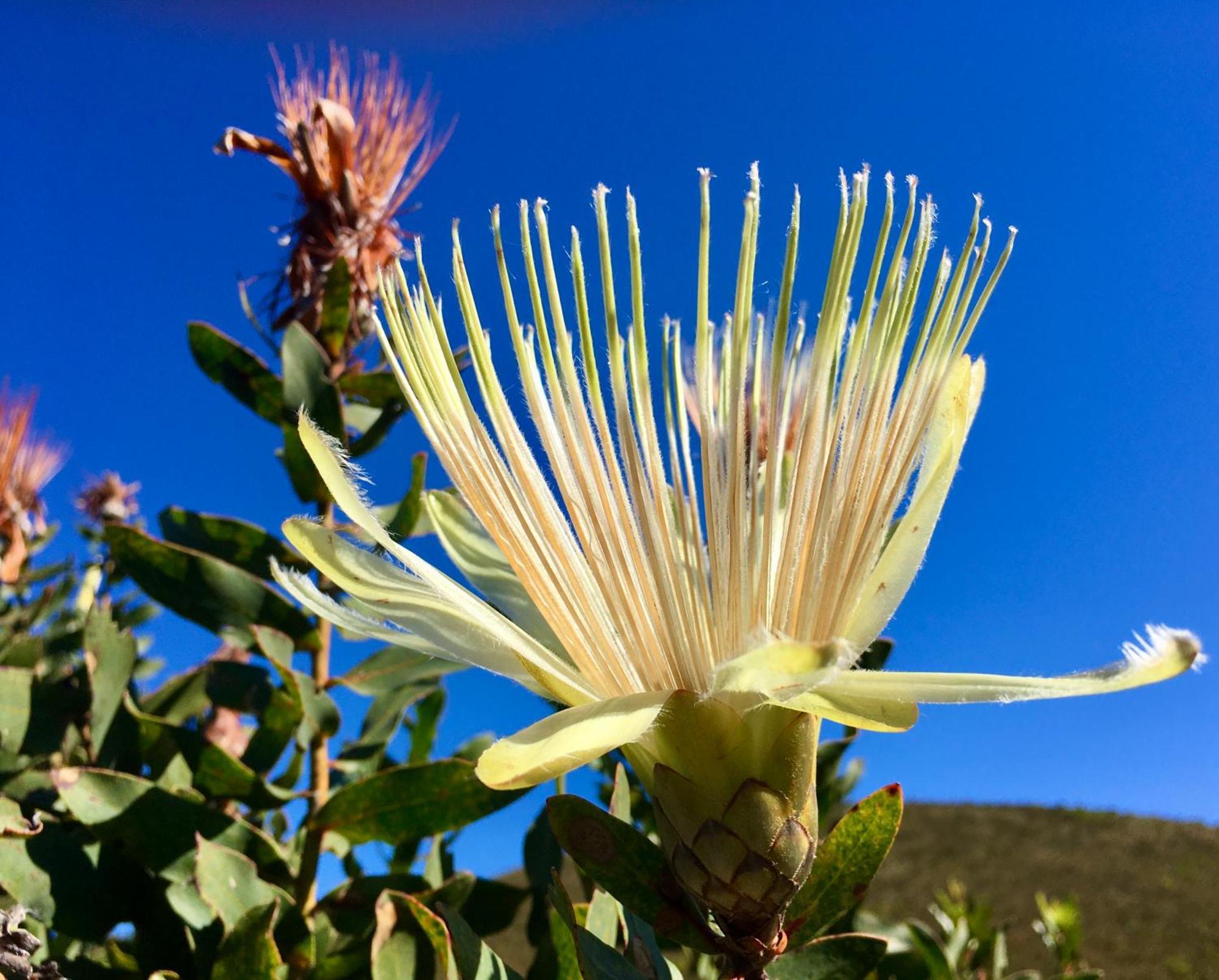 The View Swellendam B&B Exterior photo