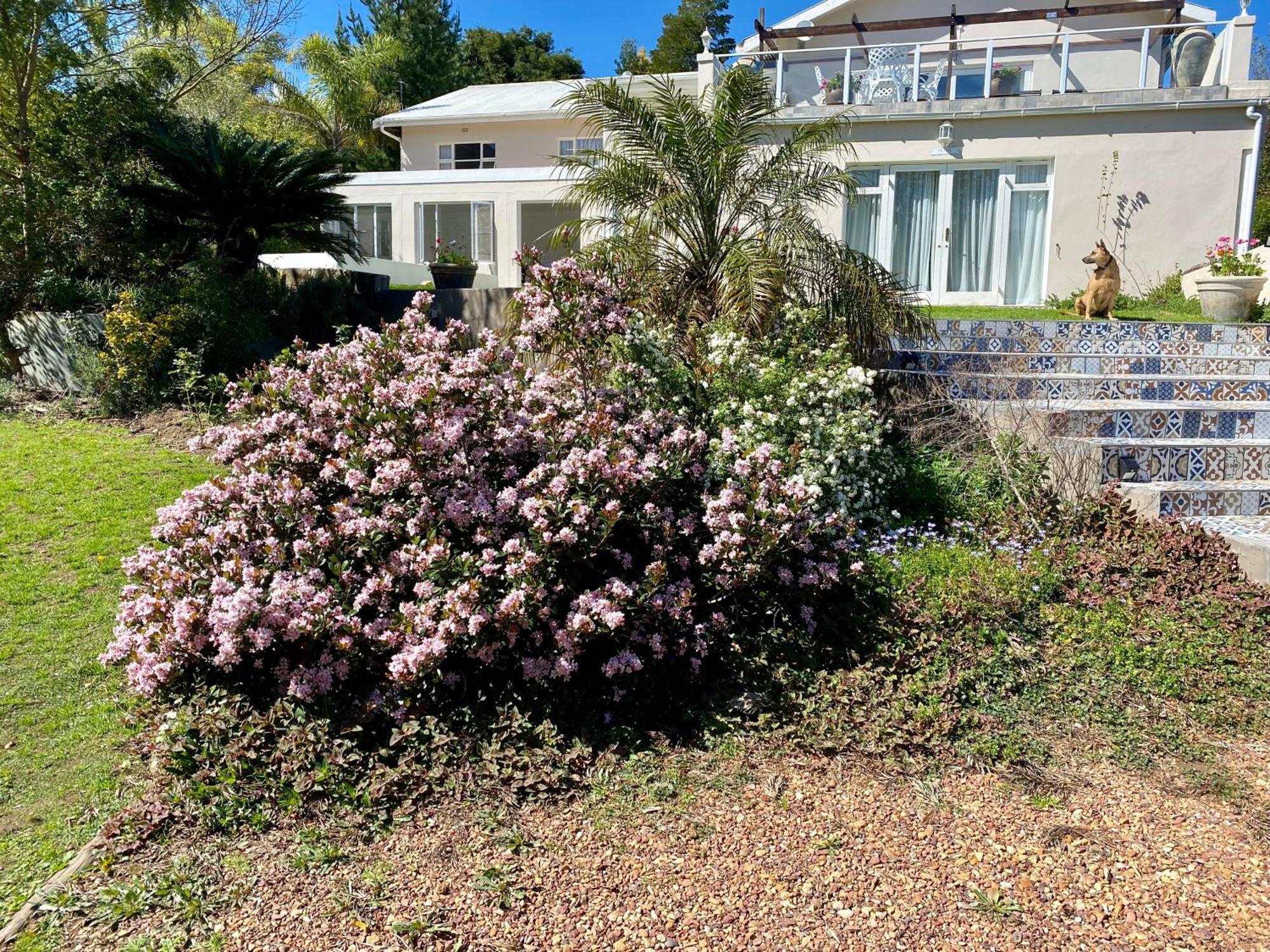 The View Swellendam B&B Exterior photo